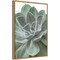 Echeveria (Succulent) by Assaf Frank 16-in. W x 23-in. H. Canvas Wall Art Print Framed in Natural